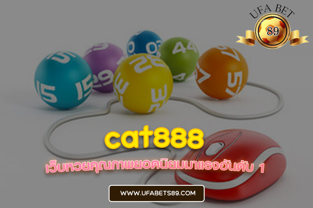 cat888